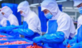 大流通“滑坡”，凍品商“卷”入餐飲終端求增長