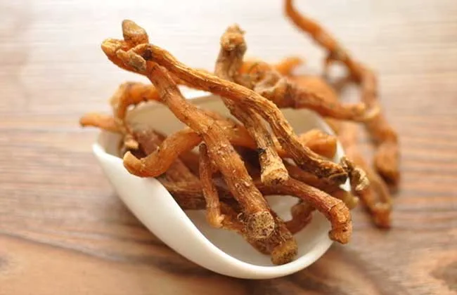 1773106453772512.png fd172f285561a40c19a3d7006e370233.png